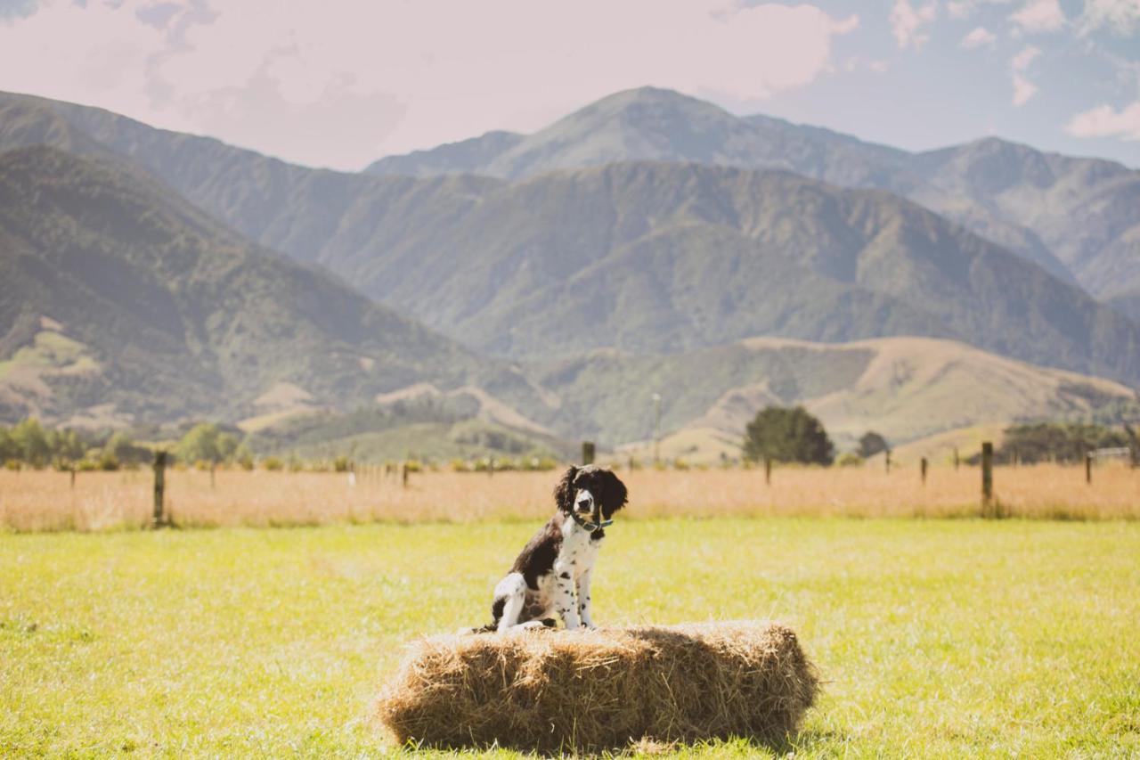 Awatea Country Bed & Breakfast Kaikoura Eksteriør bilde