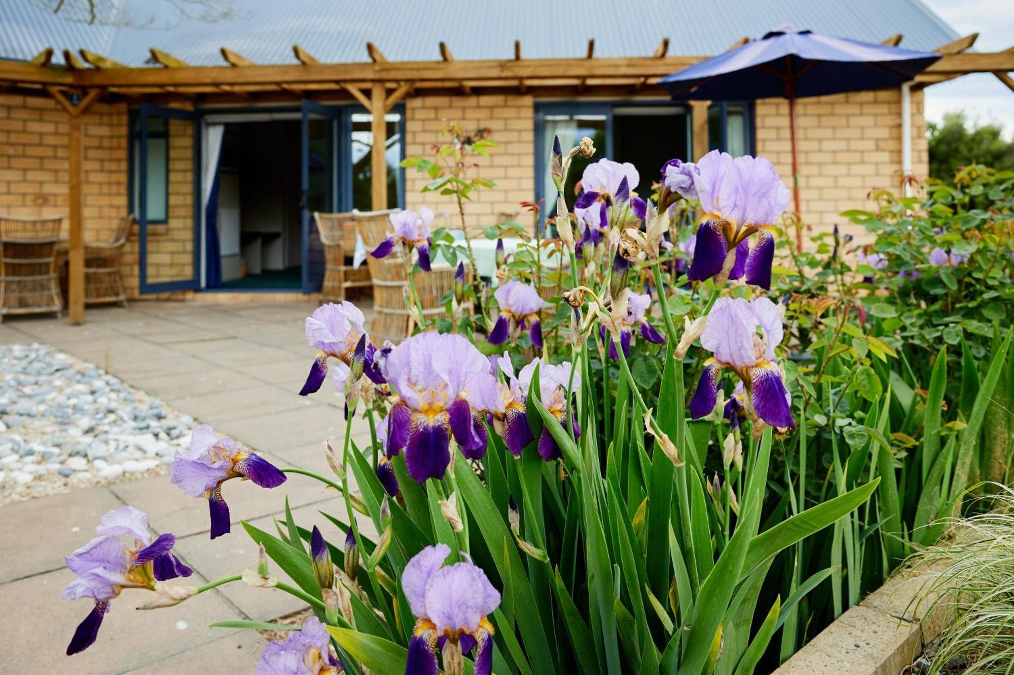 Awatea Country Bed & Breakfast Kaikoura Eksteriør bilde