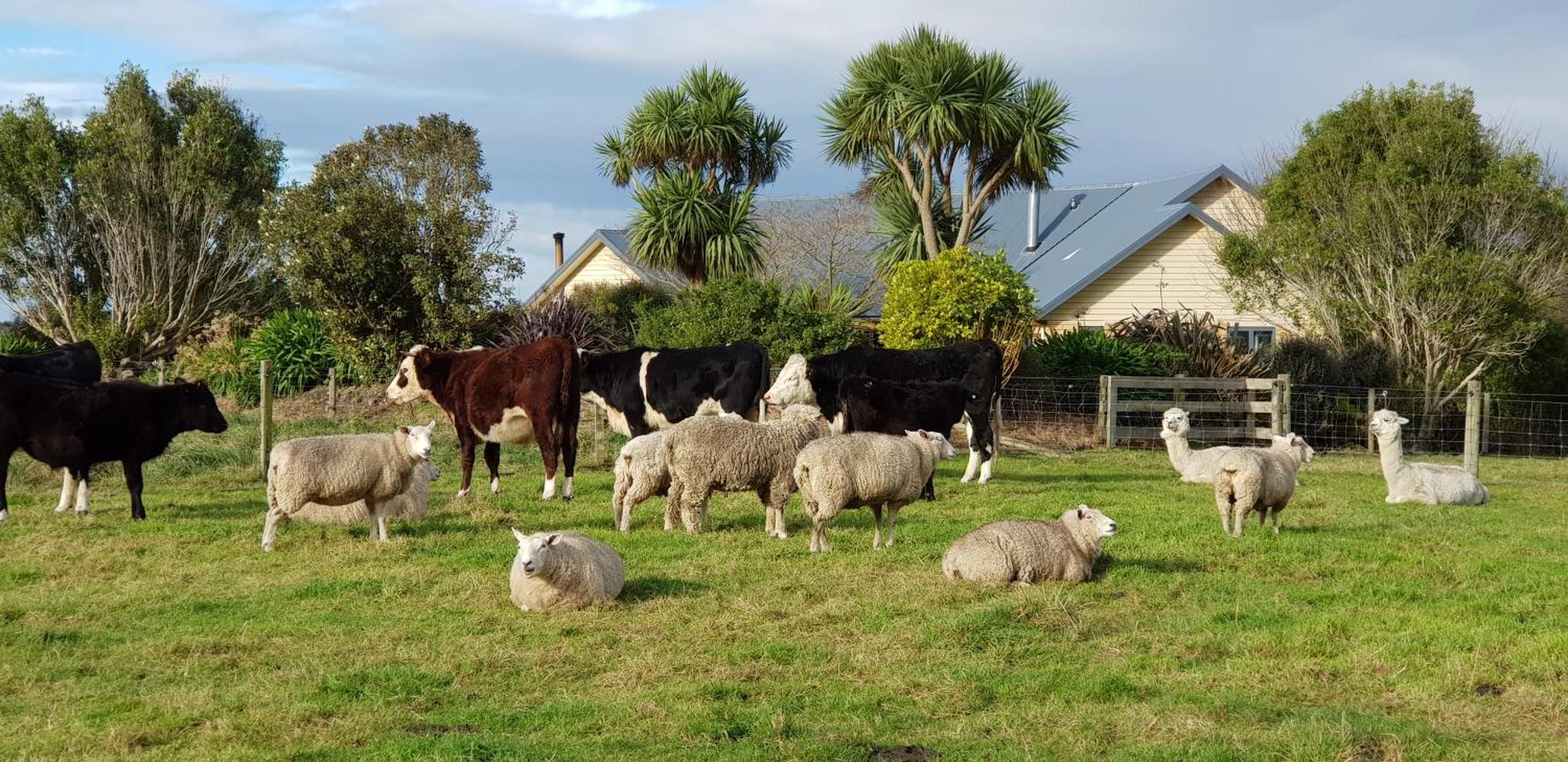 Awatea Country Bed & Breakfast Kaikoura Eksteriør bilde