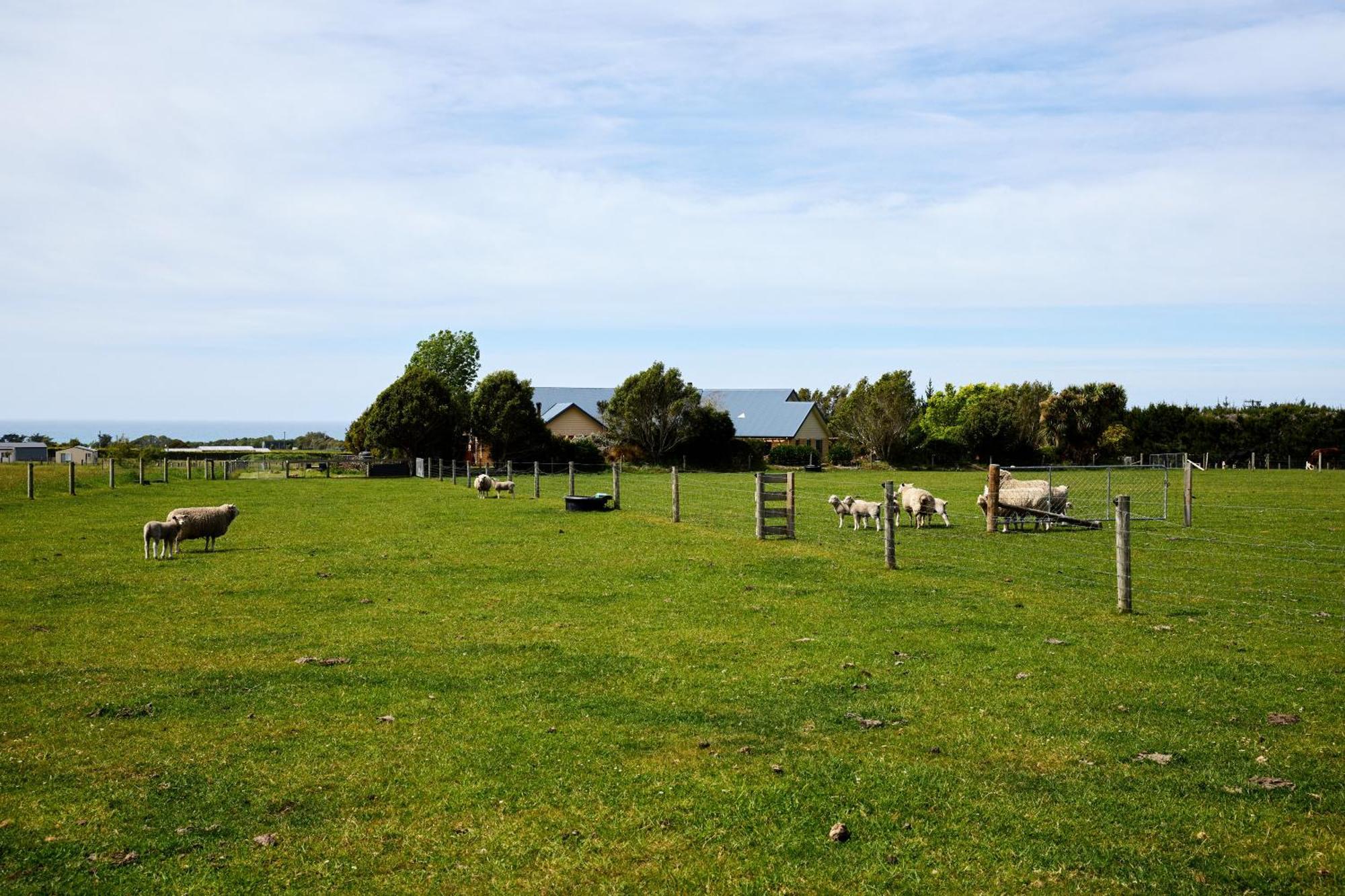 Awatea Country Bed & Breakfast Kaikoura Eksteriør bilde
